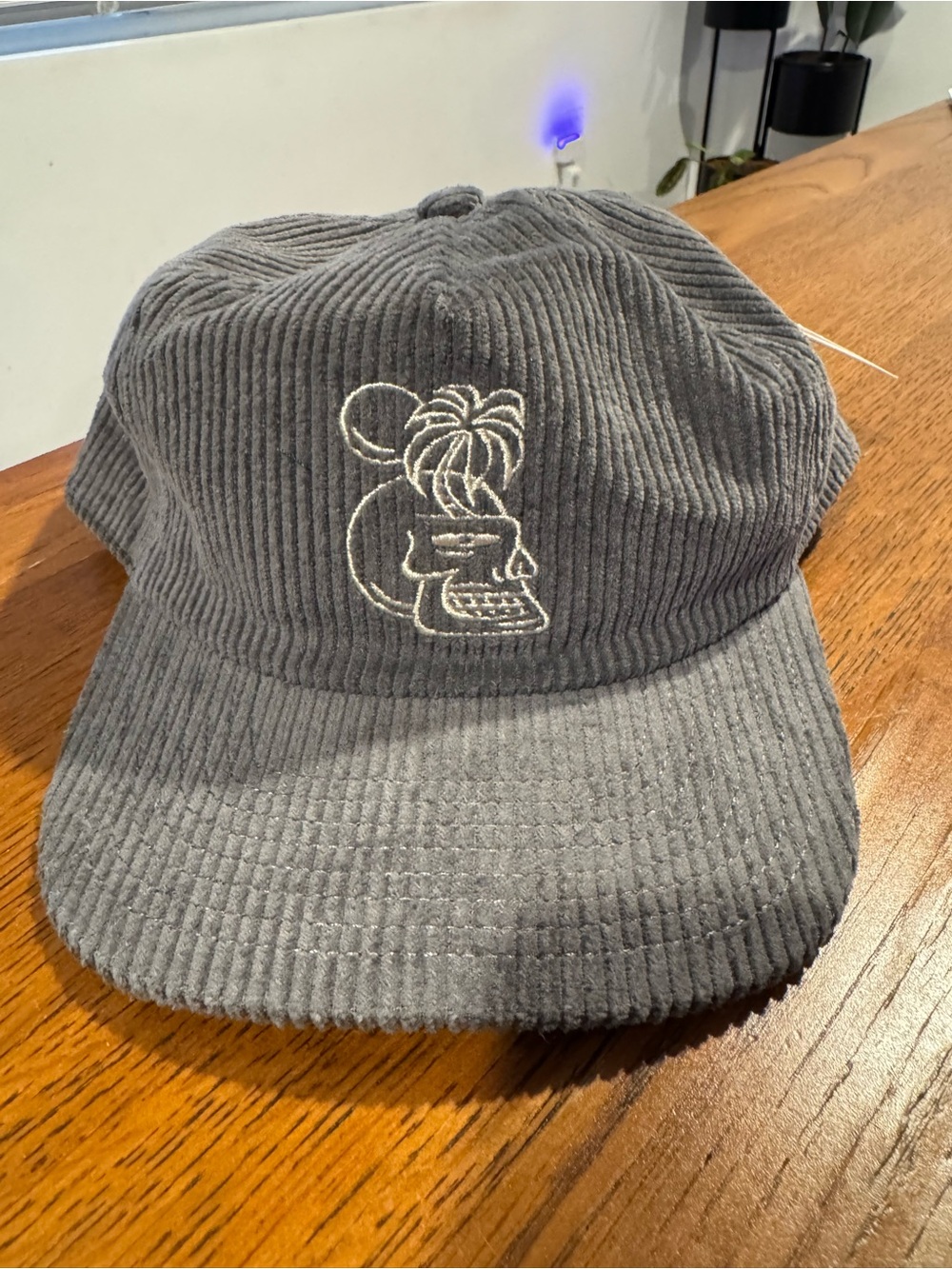 Gray Corduroy Cap with Embroidered Graphic